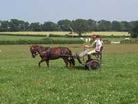 Longwood Farm, Wooland